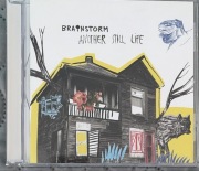 Brainstorm – Another Still Life | CD | Polska Edycja | Stan BDB
