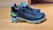 Buty do biegania Salomon Alphacross 4 GTX