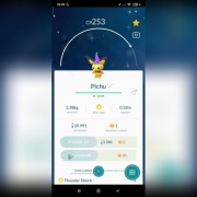 Shiny pichu /pokemon go 