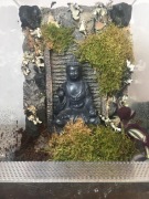 Terrarium dla pająka