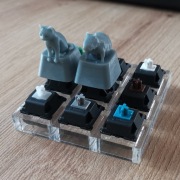 Klawisze kotek/ kapibara