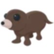 Otter Adopt Me AM