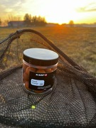 kulki hakowe KarpR squid-orange 20mm