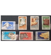 Fauna zwierzęta ssaki hodowlane Rumunia