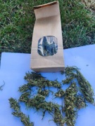 1 KG - Susz konopny Konopi  Cannabis S. Futura 75