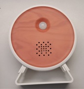 PUDEŁKO Z CZUJNIKIEM RUCHU PUDEŁKO DO ŚPIEWANIA PTAKÓW Z DŹWIĘKAMI NATURY