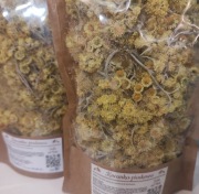 Kocanka piaskowa 20 g