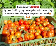 Pomidory malinowe z naszego eko pola 3kg SMART