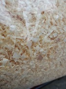 Trociny osikowe odpylone