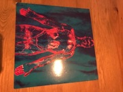 NIRVANA UNIKAT Sliver / Dive Single