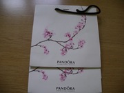 Torebka Pandora prezentowa 23,5x23,5 cm - 2 szt.