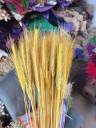 żyto zboże suszone naturalne palmy