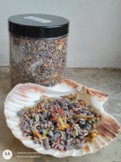 Sól czarna OCHRONA I OCZYSZCZENIE. Dziewanna i KONICZYNA. Magia ochronna