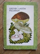 Grzyby lasów polskich. Karty poglądowe