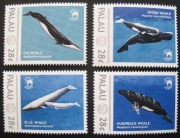 WWF fauna wodna walenie stan**