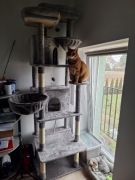 Drapak dla kota nowy bez metki 216 cm.