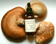 BIAŁOPOREK prosto od Chłopa. Wodno-glicerynowy Ekstrakt Podwójny 50 ml