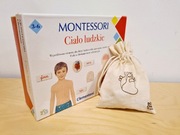 Montessori ciało człowieka narządy organy 