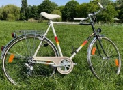 Rower męski Herkules