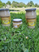 Miód rzepakowy 1.2kg 2024