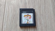 Bomberman Quest Game Boy