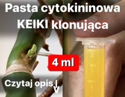 4 ml! Pasta Cytokininowa KEIKI – Stymulator Wzrostu i Pąków Roślin 