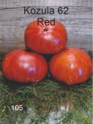105-Kozula 62 Red. Pomidory kolekcjonerskie.