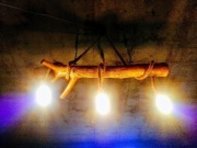 Lampa loft z konaru drzewa klonowego.