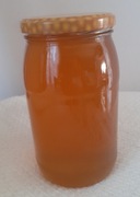 miód wielokwiatowy wiosenny od pszczelarza zbiór 2025 r 