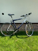 Rower Genesis, Florida ASX