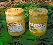 Zestaw miodów 2x 640g akacjowy wielokwiat 2024 polskie trawienie witaminy