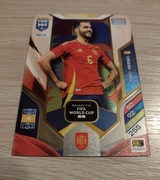 Road to FIFA world cup Merino 