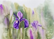 Obraz 1802 malarstwo 30x40 sprzedaz charytatywna