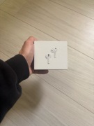 Air Pods Pro 3 (nowe)