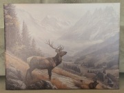 Obraz myśliwski Jeleń Europejski BYK. Wieniec. Poroże. Polowanie. Prezent.