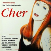 The Soundalikes – Sing The Hits Made Famous By Cher (CD, 1999)