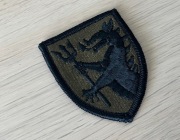 Naszywka - US Army - 108th Cavalry Regiment (OD Subdued)