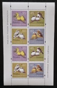 Ark 3419-3422 ** 1995 - Pisklęta ptaków śpiewających