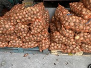 Cebula na sprzedaż . Workowana , luzem!