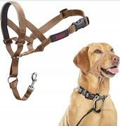 HALTI  UPRZĄŻ DLA PSA NA GŁOWĘ ROZMIAR 3 