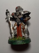Warhammer 40k WARZONE Brotherhood Sacred Warrior figurka metal unikat