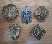 Zestaw odzak wojskowych pułkowych dobry start na rozpoczęcie kolekcji