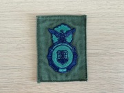 Naszywka - USAF - Security Forces (SF) (OD Subdued)