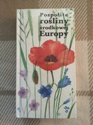 POSPOLITE ROŚLINY POŁUDNIOWEJ EUROPY