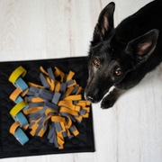 Mata węchowa CIRI dla psa / kota