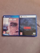 Gry reanimal ps5  pl + Detroit become human ps 4 pl