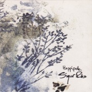 Sigur Rós – Hoppípolla