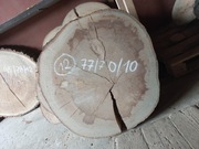 Plaster Drewna BUK 77/70/10 cm Blat Stolik Żywica DIY Wysuszony