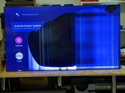 Profesjonalny monitor PHILIPS X-Line do ścian wideo BDL558XC przemysłowy 
