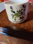 Kubek  Mentha piperita Mięta pieprzowa Sygnowany Seltmann Weiden 